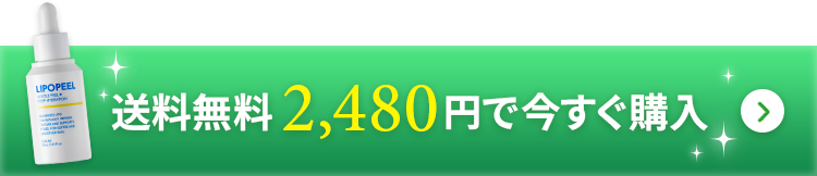 送料無料2480円で今すぐ購入