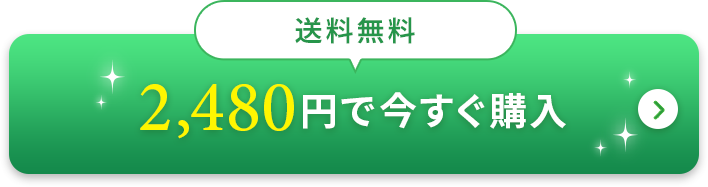 送料無料、2480円で今すぐ購入