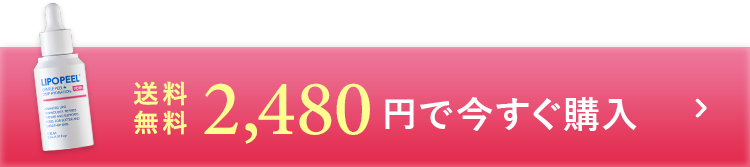 送料無料2480円で今すぐ購入