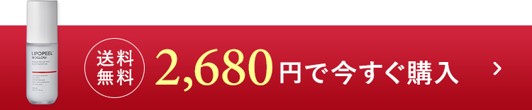 送料無料2480円で今すぐ購入