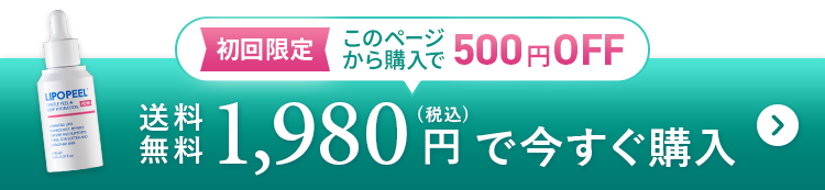 送料無料2480円で今すぐ購入