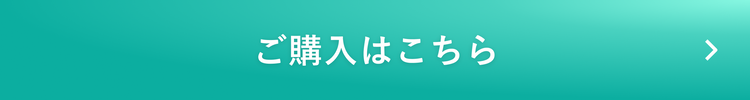 送料無料2480円で今すぐ購入