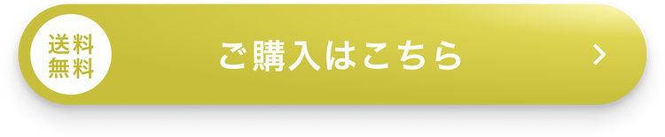 購入はこちら