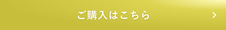 送料無料2480円で今すぐ購入